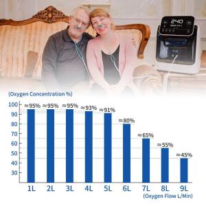 Quality Touch Screen Adjustable O2 Machine house Use 1-9L Oxygen Concentrator for sale