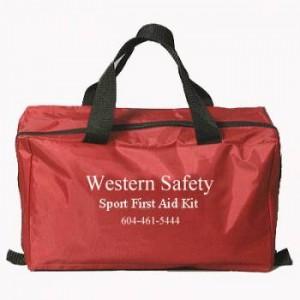 Quality promotion first aid kit for travel (red nylon bag) for sale