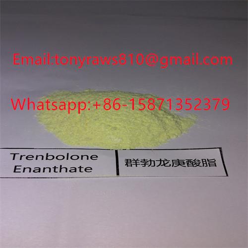 Buy Tren E / Trenbolone Enanthate for Strength Boosting and Increasing Lean Muscle Mass at wholesale prices