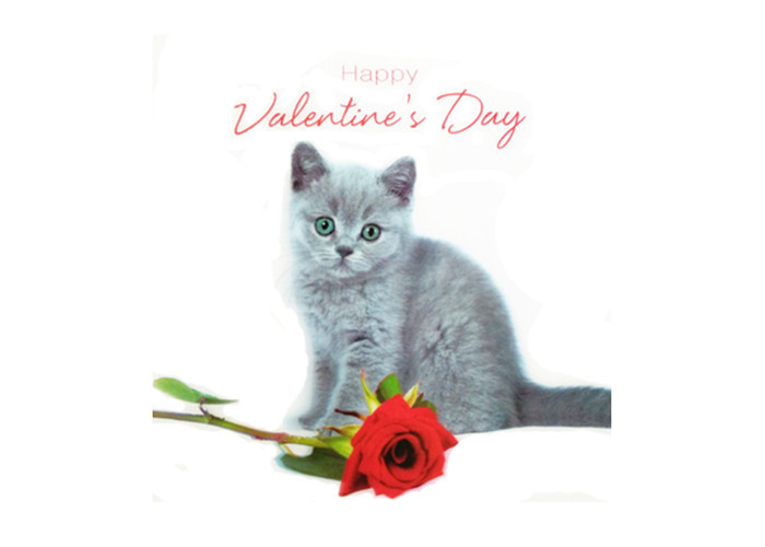 Quality Customised Valentine'S Day 3D Greeting Card Offset Printing 3D Card In PP Plastic for sale