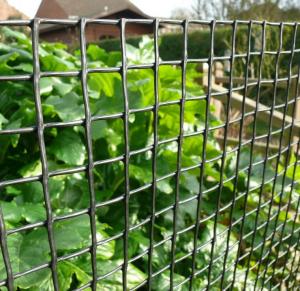 Quality 25 years China factory directly supply HDPE green tree guard mesh to support trees growing for sale