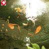 Buy cheap Economical PP black pond cover netting/fish netting for fish protection from wholesalers