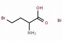 Quality S-2-Amino-4-Bromobutyric Acid Hydrobromide CAS 15159-65-6 for sale