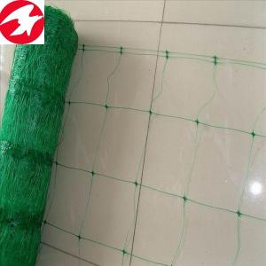 Quality 25 years China factory direct supply HDPE plant support net for agricultural for sale
