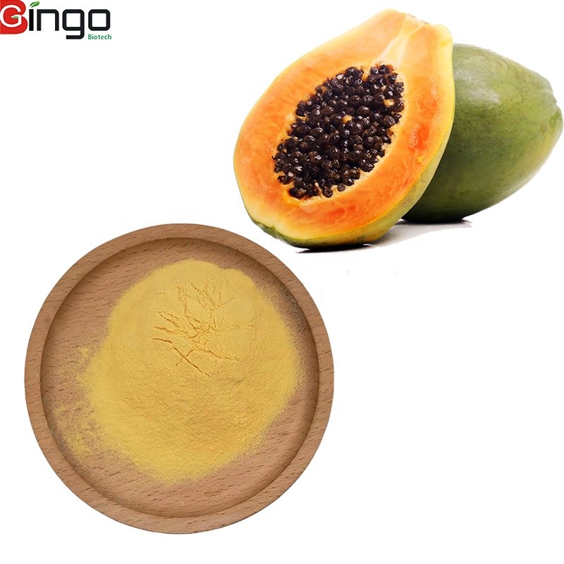 Factory supply best quality organic papaya extract powder on store