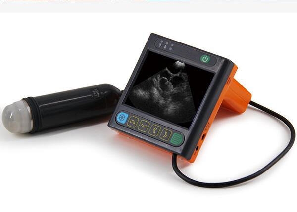Buy Digital Mechanical Sector Vet Ultrasound Scanner For Pig Sheep Dog Only 620g Weight at wholesale prices