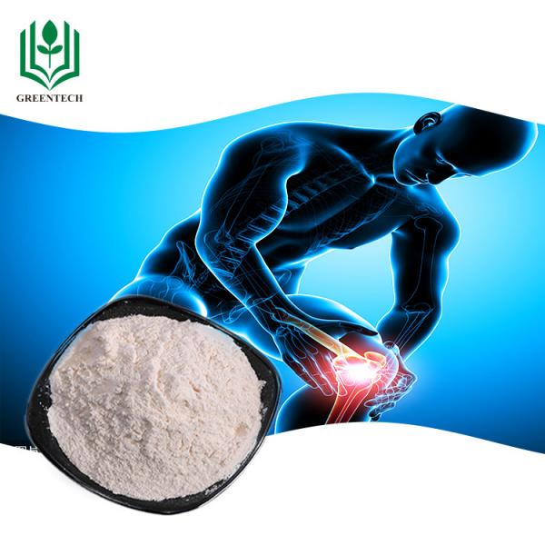 Buy 80 Mesh 10% Shark Chondroitin Powder For Dietary Supplement at wholesale prices
