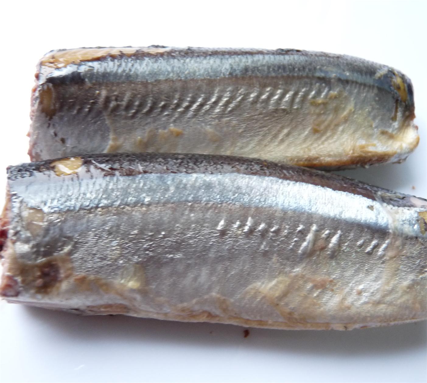 Quality Best canned Sardines in Oil/Brine Chinese Origin High Quality 425g for sale