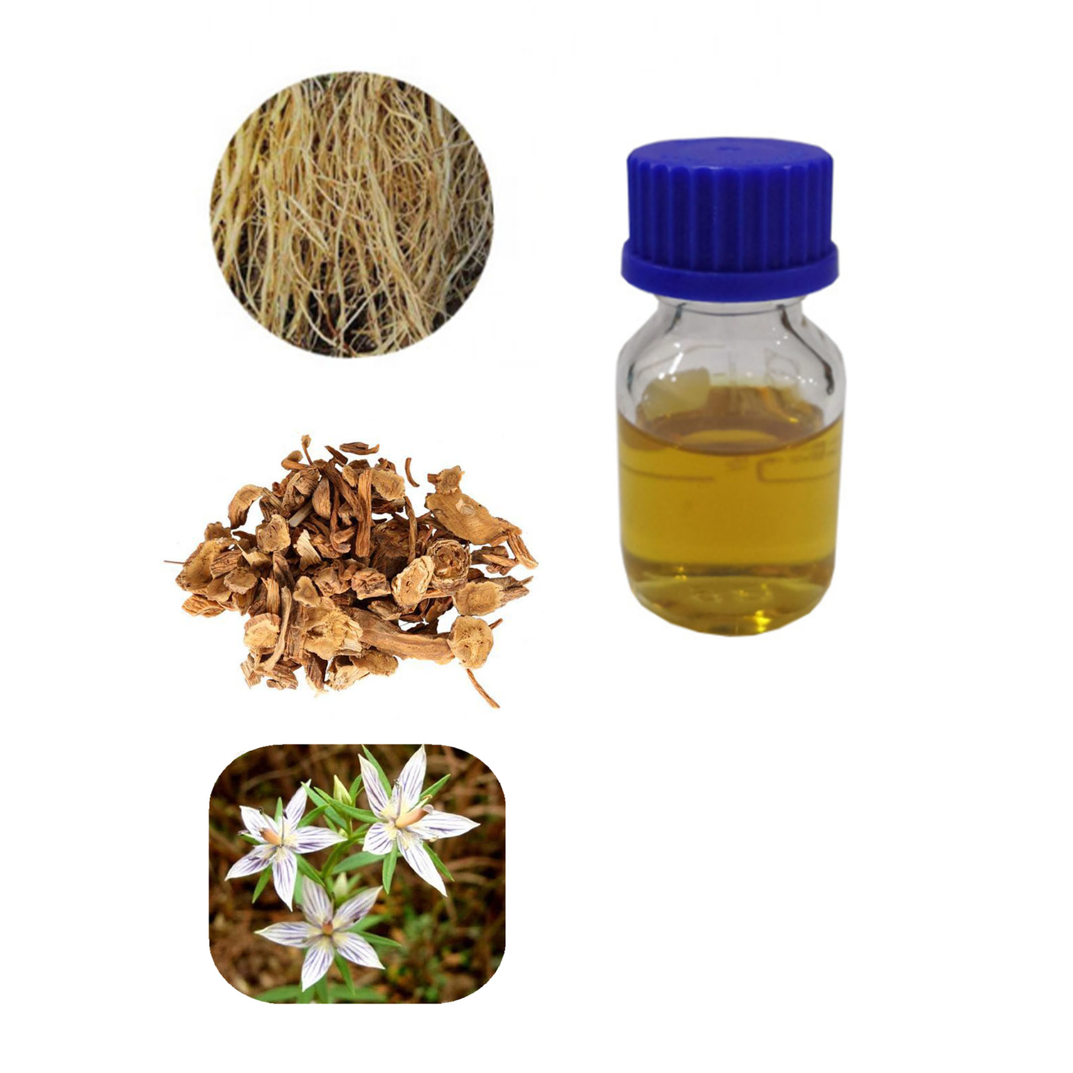 Buy cheap Macrophylla Swertia Bimaculata Anti Itching Gentiana Scabra Plant Extracts from wholesalers