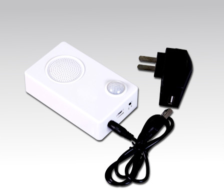 Quality Motion sensor recordable sound mp3 player box welcome music box for sale