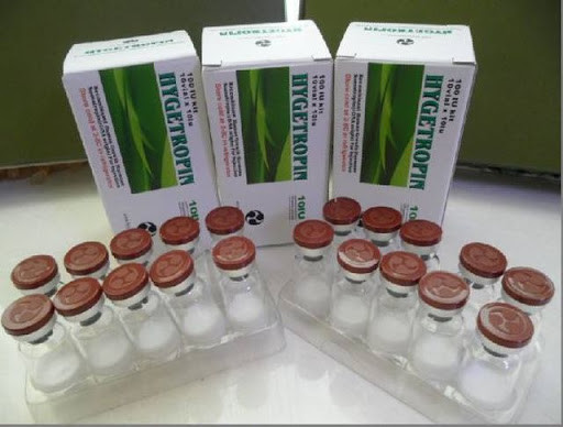 Buy Injury healing Hygetropin Human growth hormone , 10iu / vial Fat loss HGH at wholesale prices