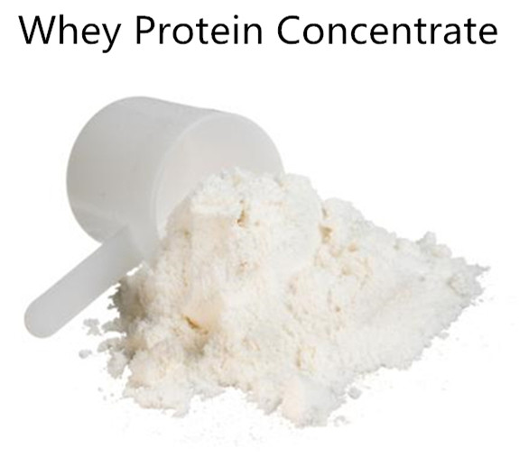Buy 90% Whey Protein Powder Isolate Optimum Nutrition WPC Lactalbumin For Bodybuilding at wholesale prices