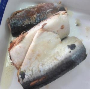 Quality canned mackerel in oil for sale