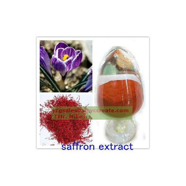 saffron extract