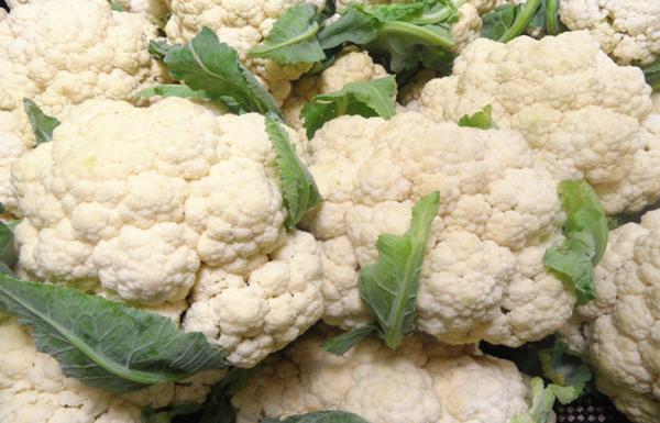 ... White Organic Blanched Freezing Fresh Cauliflower , 13 - 15cm Length