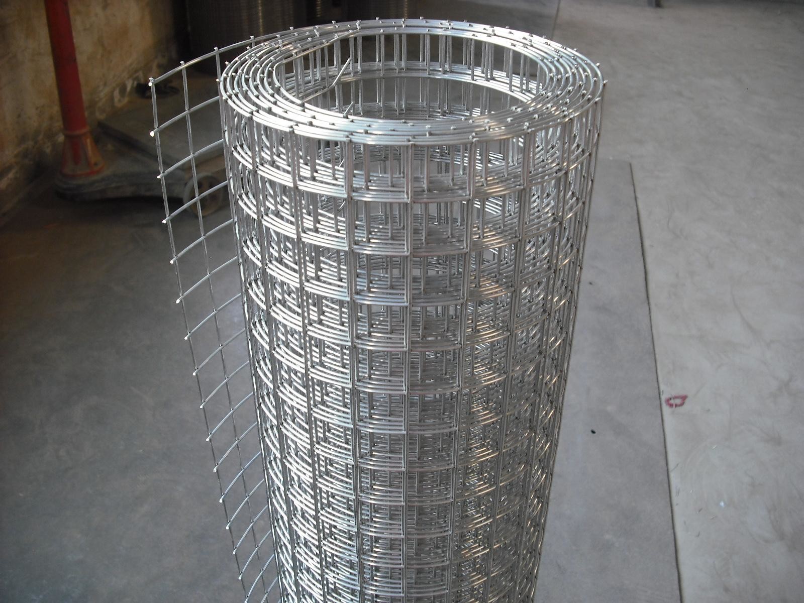 Quality Excellent oxidation resistant Electro galvanized welded wire mesh for sale