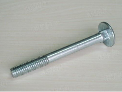 Quality Carriage Bolts round head Square Neck Bolts DIN603 for sale