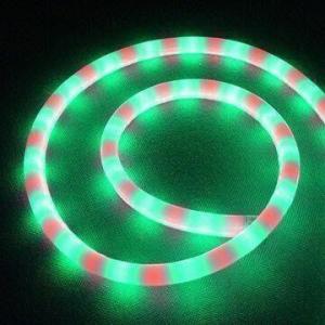 Quality LED Neon Rope Light with 2 Wires, 80 Pieces/meter LED Quantity and 1/0.5m Multicolor Cutting Unit for sale