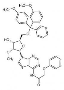 Quality CAS 128219-81-8 Nucleoside and Nucleotide 5'-DMT-2'-(O-methyl)-adenosine (N-PAC) for sale