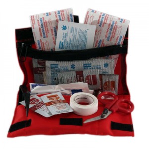 Quality promotion first aid kit for travel (red nylon bag) for sale