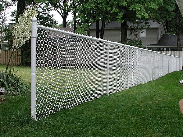 23 YEARS Manufacturer of Galvanized Chain Link Fence/PVC Coated Chain Link Fence /Electro Galvanized Iron Fence