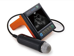 Digital Medical Veterinary Ultrasound Scanner With 3.5 Inch Screen And Frequency of Porbe 2.5M, 3.5M