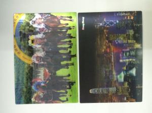 Quality Full Color Printing 0.6 MM PET 3d Lenticular Card With Pearlised Film for sale