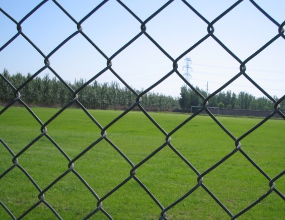 Quality Sports Ground Chain Link Fence/Hot Dipped Galvanized Farm Fencing Chain Link Fence for sale
