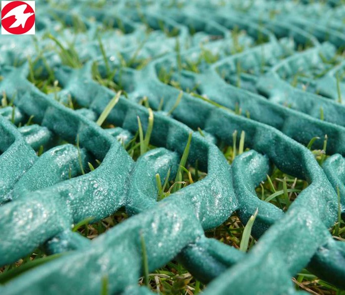 Quality High quality HDPE grass protection netting to protect your garden for sale