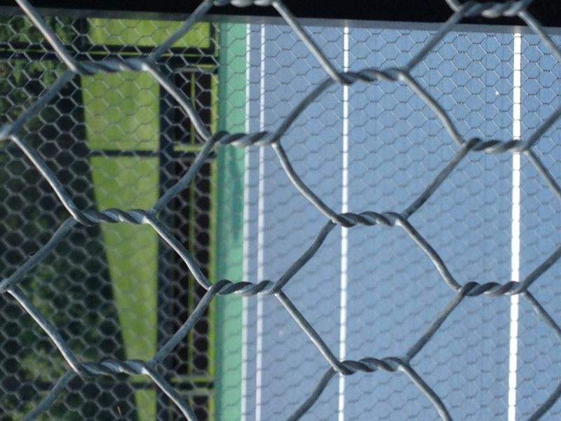 Quality ISO9001 chicken coope hexagonal wire mesh for good sale (manufacturer) for sale