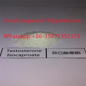 Testosterone Isocaproate / Test Isocaproate Muscle Building Steroids For Muscle Gain