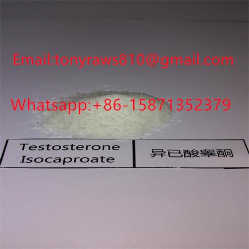 Buy Testosterone Isocaproate / Test Isocaproate Muscle Building Steroids For Muscle Gain at wholesale prices