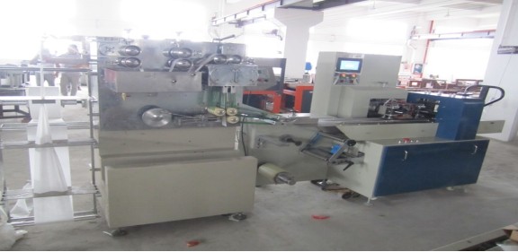 Quality HZ-SJ350 Horizontal Type Wet Tissue Automatic Packing Machine for sale