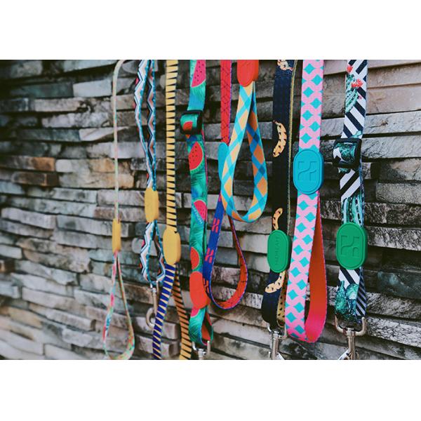 12 Inch Lanyard Breakaway Dog Leash For 1 2 3 Multiple Dogs