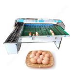 Chicken Farm Classifier Chicken Farm Grading Machine Chicken Egg Sorting Machine