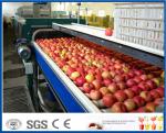 Fruit Juice Processing Machines , Apple Processing Machine For Juice Making