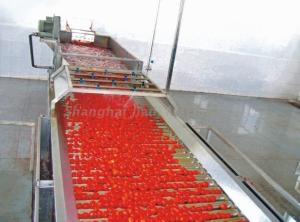 China Fresh Tomato Paste Processing Line , High Productivity Tomato Paste Processing Machine on sale