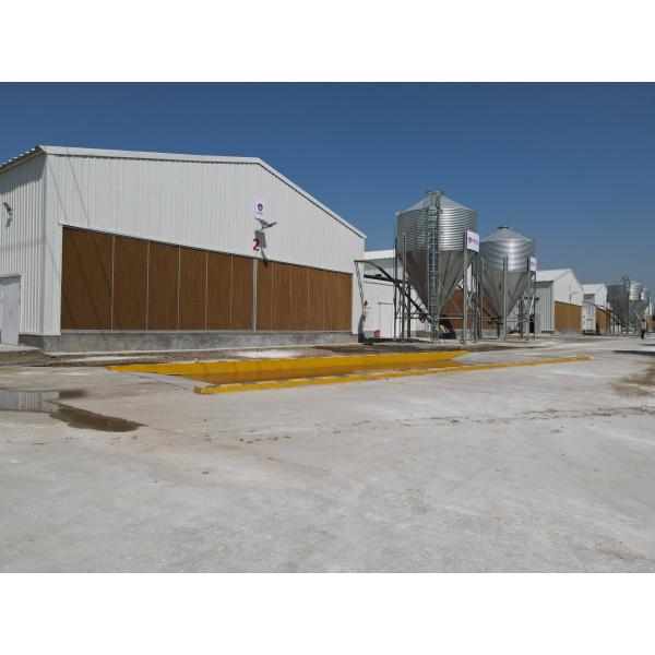 Industrial Steel Structural Buildings Prefabricated Steel Poultry House Customized