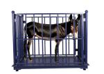 Portable 3T Livestock Weighing Scales With Load Cell