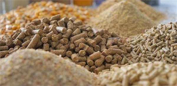 Fodder Belt Scale Pellet Animal Feed Packing Machine Auto Lifting 11.7L/ Min PLC