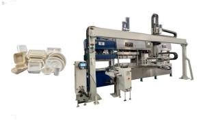 Quality Fully Automatic Pulp Tableware Production Line With Horizontal Walking Robot Arm for sale