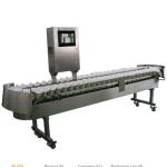 Automatic Potato Sorting Equipment Onion Grading Machine Processing Line Fruit