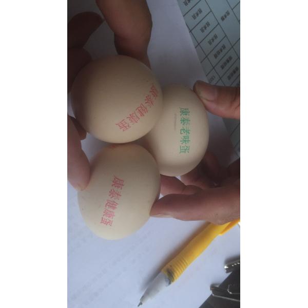 4A Free Upgrade Eggs Food Inkjet Printer With Full - Disk Printing Method