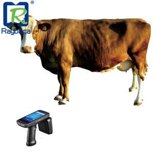 China 5.2 Inch LCD ABS UHF 860Mhz Mobile Rfid Reader Support Management System on sale