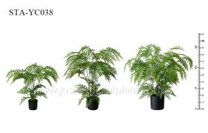 Quality Greenery Artificial Fern Tree Unprecedented Authenticity Black Potted Plant for sale