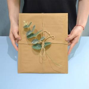 Express Envelope Kraft Paper Mailer Biodegradable Shockproof Honeycomb Kraft