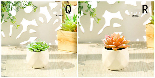 Mini Succulent Artificial Potted Plants Strange Shape Green Platsic Material