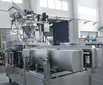 Preformed Automatic Vacuum Packaging Machine , Sachet Premade Pouch Packing