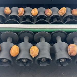 Quality AI Powered Palm Dates Sorting Machine 2 Tons Capacity with CE MD Certificate for sale
