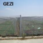 Vegetable garden with insect proof net shade garden with insect proof net